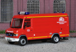 Henkel GW (5).JPG