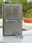 SL730193.JPG
