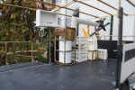 DMF049.jpg