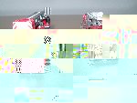CIMG4383.JPG