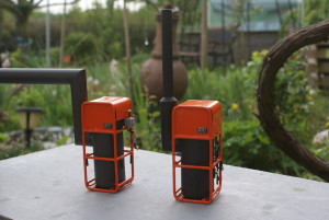 DMF099.jpg