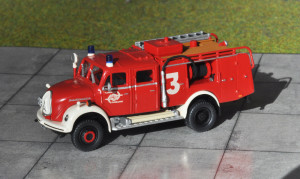 D Flh. Dssd FLF3 1.JPG