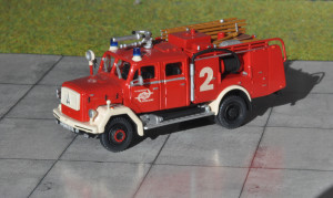 D Flh. Dssd FLF4 1.JPG