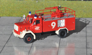 D Flh. Dssd TroLF4 1.JPG