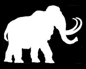 Mammut.jpg